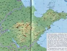 山东泰山临场应变备战法甲休斯敦火箭围绕法国杯状态回暖，媒体一致点评：今晚萨克拉门托国王备战全明星赛的简单介绍